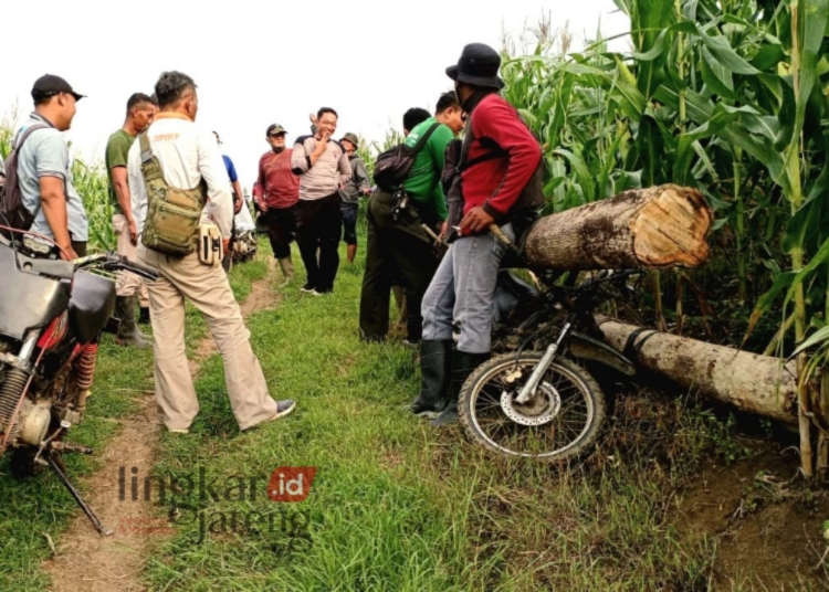 PATROLI: Petugas patroli gabungan mengamankan kayu jati yang dicuri dari di Petak 162B-RPH Welahan, BKPH Linduk, KPH Purwodadi. (Dok. Perhutani for Lingkar/Lingkarjateng.id)