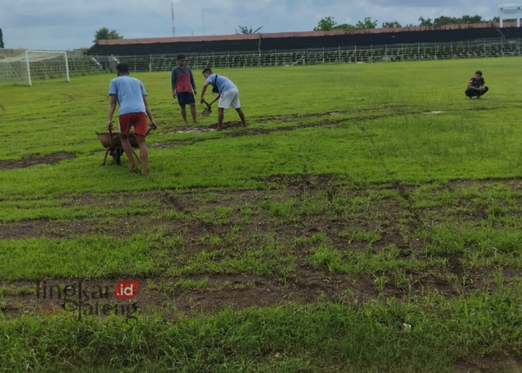 PERBAIKAN: Sejumlah pekerja memperbaiki rumput Stadion Kamal Junaidi dengan diurug pasir. (Muhammad Aminudin/Lingkarjateng.id)