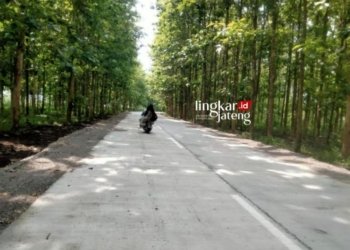 MELINTAS: Pengendara motor melewati Jalan Randublatung-Getas, Kabupaten Blora. (Hanafi/Lingkarjateng.id)