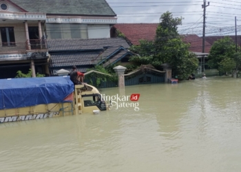 TERJEBAK BANJIR: Sebuah kendaraan trailer terjebak banjir Jalan Pantura Demak-Kudus turut Desa/Kecamatan Karanganyar, Kabupaten Demak pada Kamis, 8 Februari 2024. (M. Burhanuddin Aslam/Lingkarjateng.id)