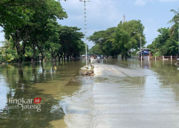 MULAI SURUT: Jalur Pantura Karanganyar, Demak masih tergenang banjir tepatnya di Desa Cangkring, Kecamatan Karanganyar, Kabupaten Demak, Kamis, 15 Februari 2024. (M. Burhanuddin Aslam/Lingkarjateng.id)
