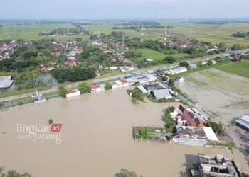 POTRET: Banjir merendam 11 kecamatan di Grobogan. (Dok. BPBD Grobogan for Lingkar/Lingkarjateng.id)