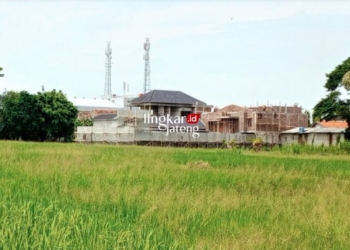 ILUSTRASI: Pembangunan rumah di samping lahan pertanian turut Kecamatan Margorejo, Kabupaten Pati pada Desember 2023. (Setyo Nugroho/Lingkarjateng.id)