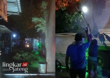 LAKA: Mobil fuso senggol pohon dibahu jalanan, karena menghindari kendaraan besar lain dari lawan arah pada Sabtu malam, 18 Februari 2024 pukul 23.00 WIB di jalan Mayong-Welahan. (Muhammad Aminudin/Lingkarjateng.id)