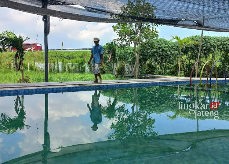 Kolam keceh yang kini jadi primadona baru di Desa Wisata Magelung, Kendal. (Robison/Lingkarjateng.id)