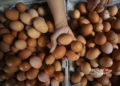ILUSTRASI: Telur ayam ras di pasar tradisional. (Antara/Lingkarjateng.id)