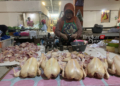 Salah seorang pedagang daging ayam di Pasar Bintoro, Kabupaten Demak sedang menunggui lapaknya, Selasa, 27 Februari 2024. (M. Burhanuddin Aslam/Lingkarjateng.id)