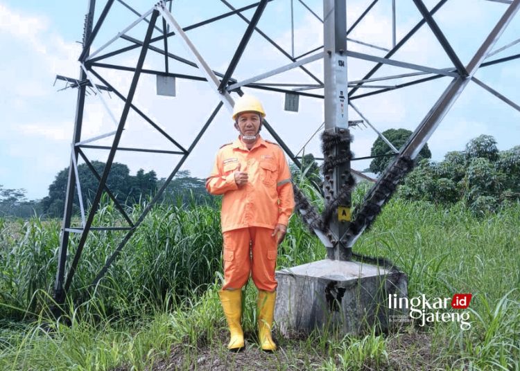 Petugas line walker PLN, Budhi Rachmawan, saat mengecek tower transmisi di Salatiga. (Dok. PT PLN/Lingkarjateng.id)