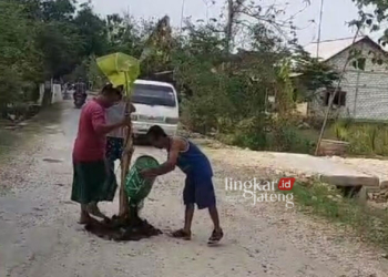 MEMILUKAN: Warga Desa Kedungrejo, Kecamatan/Kabupaten Rembang menanami jalan rusak dengan pohon pisang sebagai bentuk aksi protes kepada Pemkab Rembang pada Desember tahun lalu. Bahkan pada tahun ini, jalan tersebut belum juga tersentuh perbaikan. (Vicky Rio/Lingkarjateng.id)