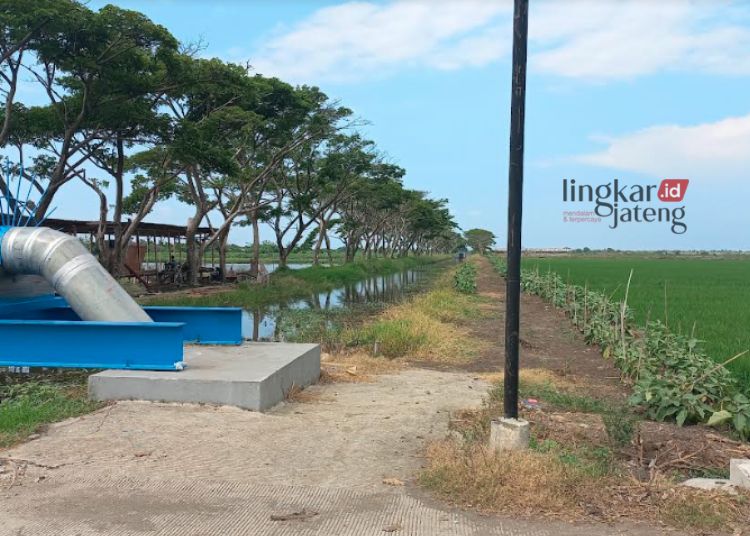 Rawa Bladon Terbengkalai, Pemdes Purwokerto Kendal Fokus Pembangunan Pertanian 25 POTRET: Area wisata Rawa Bladon di Dusun Krayapan, Desa Purwokerto, Kecamatan Brangsong, Kabupaten Kendal yang terbengkalai. (Robison/Lingkarjateng.id)