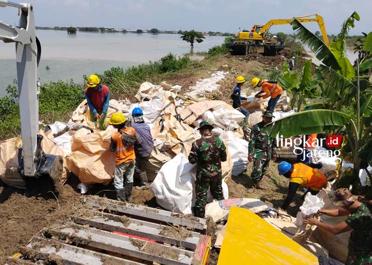 GOTONG ROYONG: Prajurit Yonzipur 4/Tanpa Kawandya gotong royong memperbaiki tanggul di Kabupaten Demak pada Selasa, 13 Februari 2024. (Dok. Kodam IV Diponegoro/Lingkarjateng.id)