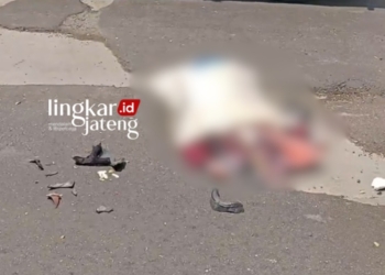 TERKAPAR: Seorang remaja perempuan DA berasal dari Dusun Ngeropoh, Desa Sarangan, Kecamatan Bonang, Kabupaten Demak tewas usai berusaha mengindari jalan rusak, namun terlindas truk trailer di Jalan Pantura Kudus-Semarang tepatnya di Trengguli, Kabupaten Demak, Kamis, 29 Februari 2024. (Video Warga/Lingkarjarjateng.id)