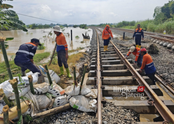 PERBAIKAN REL: Sejumlah petugas tampak memperbaik rel yang terdampak banjir di Gubug, Grobogan, pada Selasa, 6 Februari 2024 akibat dari banjir tersebut, jalur Kereta Api (KA) di Stasiun Gubug-Stasiun Karangjati belum bisa dilewati kereta api. (Humas PT KAI Daop 4 Semarang/Lingkarjateng.id)