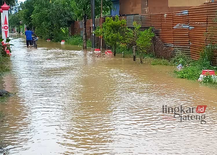 Banjir di Kendal Terjang 27 Desa dan Kelurahan Tinggi Air Capai 50 Cm