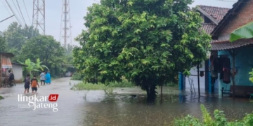 BANJIR: Kawasan Desa Welahan, Kabupaten Jepara yang terendam banjir setelah diguyur hujan deras dengan intensitas tinggi pada minggu pertama Maret 2024. (Muhammad Aminudin/Lingkarjateng.id)