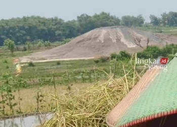 POTRET: Bledug Ngramesan di area persawahan Dukuh Medang, Desa Sendangrejo, Kecamatan Ngaringan, Kabupaten Grobogan. (Dok. Masyarakat for Lingkar/Lingkarjateng.id)