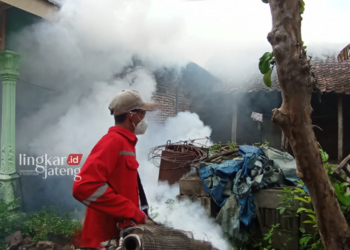 TANGGAP: Fogging di rumah korban DBD dan 90 rumah di sekitarnya, Gemuh, Kendal, yang mulai dilakukan Senin Sore, 4 Maret 2024. (Arvian Maulana/Lingkarjateng.id)