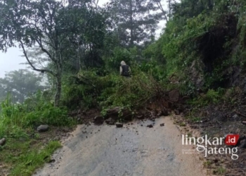 BERGUGURAN: Tebing di Dukuh Duplak, Desa Tempur mengalami longsor dengan ketinggian tanah 10 meter dan lebar 5 meter pada Rabu, 13 Maret 2024. (BPBD Jepara/Lingkarjateng.id)