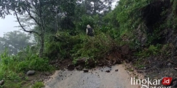 BERGUGURAN: Tebing di Dukuh Duplak, Desa Tempur mengalami longsor dengan ketinggian tanah 10 meter dan lebar 5 meter pada Rabu, 13 Maret 2024. (BPBD Jepara/Lingkarjateng.id)