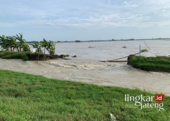 Titik jebolnya tanggul sungai yang ada di perbatasan Desa Tambirejo, Kecamatan Gajah, Kabupaten Demak, Jumat, 15 Maret 2024. (M Burhanudin Aslam/Lingkarjateng.id)