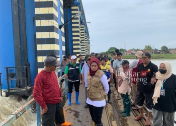 MENINJAU: Bupati Demak, Eisti’anah meninjau Bendung Wilalung, pada Jumat, 15 Maret 2024. (Muhammad Burahnuddin Aslam/Lingkarjateng.id)