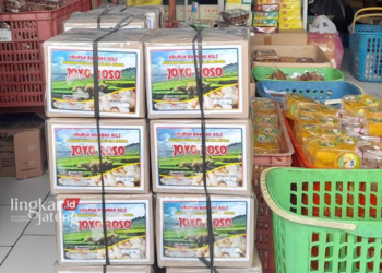 RENYAH DISANTAP: Penampakan kardus isi kerupuk rambak yang diborong pemudik di salah satu toko di Kecamatan Weleri, Kabupaten Kendal, Senin, 15 April 2024. (Arvian Maulana/Lingkarjateng.id)