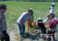 jenazah korban saat dievakuasi oleh petugas (dok. lingkar)