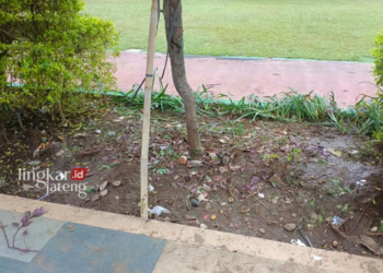 Taman di Alun-Alun Pati Rusak Pasca Acara Sholawat, Begini Respon Pemkab 31 LAYU: Tanaman di area Alun-Alun Simpang Lima Pati rusak usai penutupan Musabaqah Tilawatil Qur’an (MTQ) ke-XXX Tingkat Provinsi Jawa Tengah pada Minggu malam 28 April 2024. (Arif Febriyanto/Lingkarjateng.id)