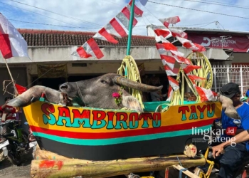 SEDEKAH LAUT: Proses pelarungan kepala kerbau yang dimuat dalam miniatur kapal menuju laut di Desa Sambiroto, Kecamatan Tayu, Kabupaten Pati pada  Jumat, 19 April 2024.  (Setyo Nugroho/Lingkarjateng.id)