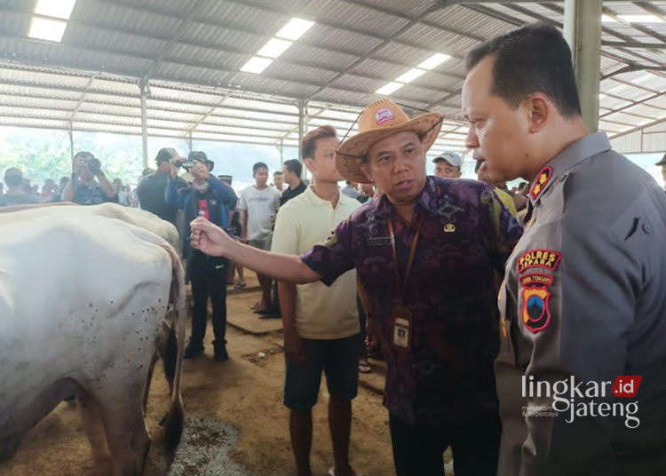 PENGECEKAN: Kepala DKPP Diyar Susanto saat melihat kondisi hewan ternak, beberapa waktu lalu. (Tomi Budianto/Lingkarjateng.id)