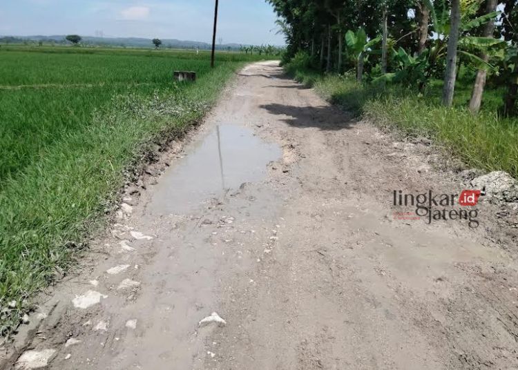 RUSAK: Kondisi jalan poros penghubung Desa Pelem menuju Desa Jati, Kecamatan Jati, Kabupaten Blora tampak rusak dan becek. (Hanafi/Lingkarjateng.id)