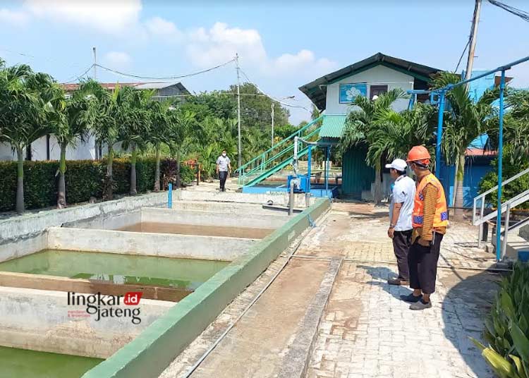 Kepala DLH Kendal, Aris Irwanto, melakukan peninjauan ke pengelolaan limbah di PT Kayu Lapis Indonesia. (Arvian Maulana/Lingkarjateng.id)