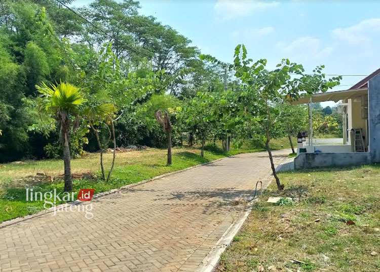 RIMBUN: RTH di perumahan Taman Khayangan Boja Kendal. (Arvian Maulana/Lingkarjateng.id)