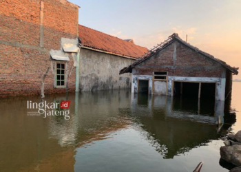 Potret rumah di Dukuh Pangkalan, Keluarahan Tugu, Kecamatan Sayung Demak sudah diringgalkan pemiliknya lantaran terendam rob. (M Burhanuddin Aslam/Lingkarjateng.id)