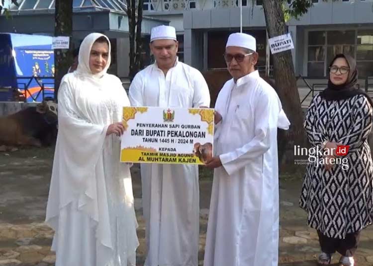 Bupati Pekalongan Fadia Arafiq didampingi sang suami, Asraf Abu, menyerahkan secara simbolis sapi kurban kepada takmir Masjid Agung Al Muhtaram yang diwakili oleh Ketua PCNU Kabupaten Pekalongan, KH Muslikh Khudori (berkaca mata), di halaman masjid setempat pada Senin, 17 Juni 2024. (Fahri Akbar/Lingkarjateng.id)