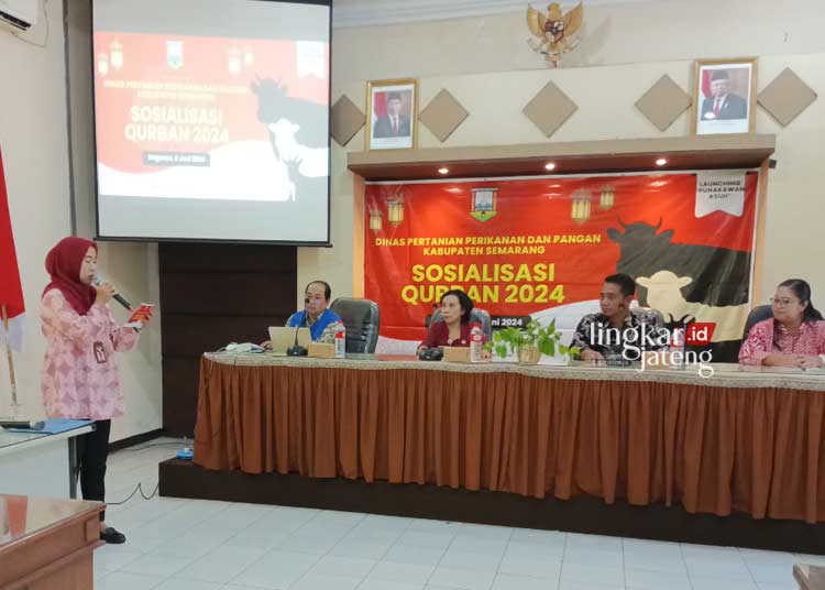 Dinas Pertanian, Perikanan, dan Pangan (Dispertanikap) Kabupaten Semarang menggelar kegiatan “Sosialisasi Kurban 2024” di Aula Kantor Dispertanikap setempat pada Kamis, 6 Juni 2024. (Hesty Imaniar/Lingkarjateng.id)