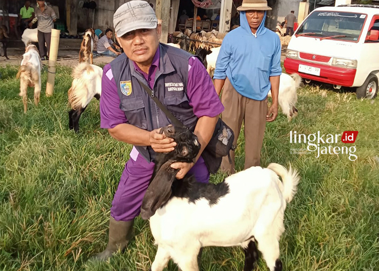 KURBAN DEMAK