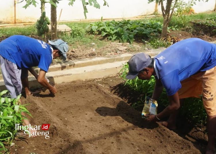 Posnik Lodji Inovasi Rutan Pekalongan Ubah Limbah Dapur Jadi Pupuk Berkualitas1