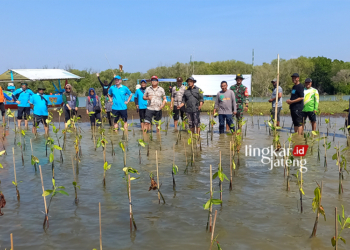 Foto bersama Pihak PT Doulton dan Kepala DLH Kendal beserta jajaran usai menanam mangrove . (Arvian Maulana/Lingkar jateng.id)