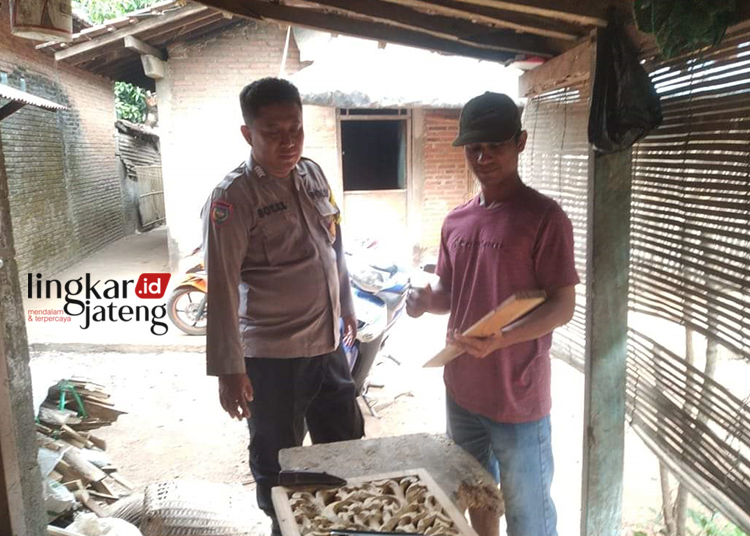 Personel Bhabinkamtibmas di Jepara Ini Sambangi Rumah Warga Wujudkan Lingkungan Kondusif 25 SAMBANGI WARGA: Bhabinkamtibmas Desa Jondang Polsek Kedung Bripka Boy KS saat menyambangi warga yang sedang melakukan aktivitas di sekitar rumahnya, Senin, 24 Juni 2024. (Tomi Budianto/Lingkarjateng.id)