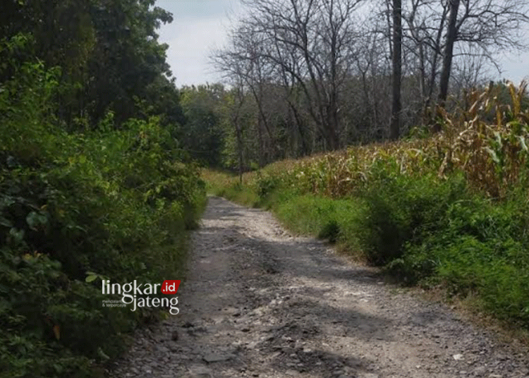 Jalan Rusak di Desa Bangklean Blora