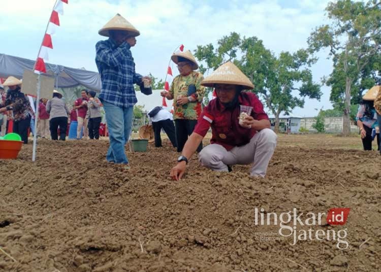 Kepala Lapas Terbuka Kelas II B Kendal saat melakukan tanam koro pedang bersama warga binaan. (Arvian Maulana/Lingkarjateng.id)