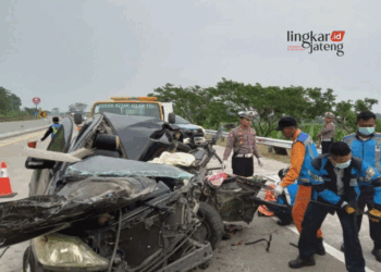 Petugas Jasa Marga dan Kepolisian Resor Batang saat melakukan proses evakuasi kecelakaan di Tol Bagtang-Semarang, Kamis, 4 Juli 2024. (Antara/Lingkarjateng.id)