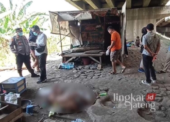 Seorang kakek berusia 70 tahun ditemukan meninggal dunia di bawah jembatan Jalan Arteri Sumberejo, Kaliwungu, Kendal, Jawa Tengah, pada Senin, 19 Agustus 2024. (Dok. Pribadi/Lingkarjateng.id)