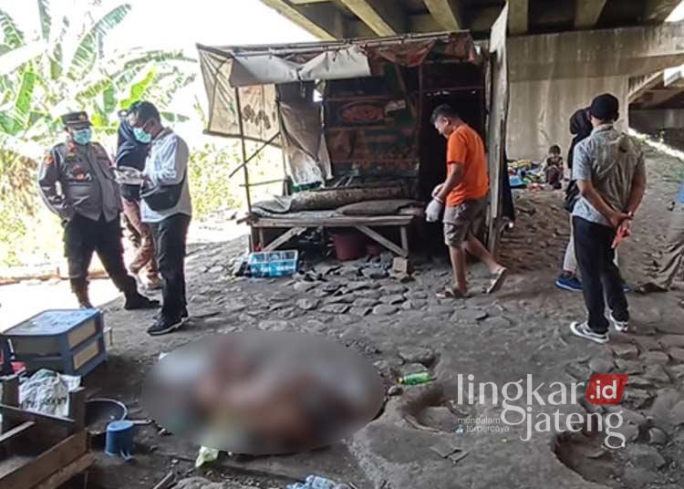 Seorang kakek berusia 70 tahun ditemukan meninggal dunia di bawah jembatan Jalan Arteri Sumberejo, Kaliwungu, Kendal, Jawa Tengah, pada Senin, 19 Agustus 2024. (Dok. Pribadi/Lingkarjateng.id)