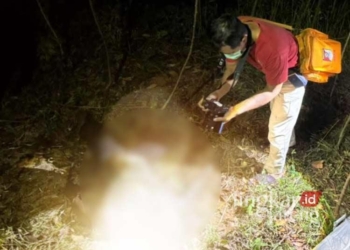 OLAH TKP: Petugas Polres Salatiga memeriksa mayat laki-laki yang ditemukan membusuk oleh warga di kebun belakang Kantor Kecamatan Sidomukti pada Minggu, 25 Agustus 2024 malam. (Dok. Polres Salatiga/Lingkarjateng.id)