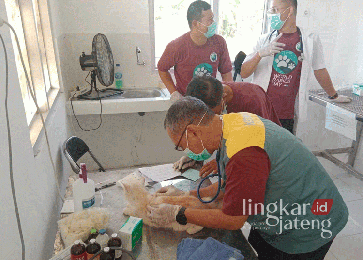 Cegah Penyebaran Rabies, DPP Kendal Gelar Vaksin Massal untuk Hewan Peliharaan 25 Dokter hewan dari DPP Kendal sedang melaksanakan vaksin rabies terhadap kucing peliharaan warga pada Kamis, 26 September 2024. (Unggul Priambodo/Lingkarjateng.id)