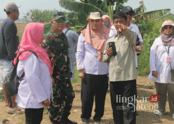 Komandan Kodim (Dandim) 0718/Pati Letkol Inf Jon Young Saragi (berkacamata) saat mendampingi Tenaga Ahli Menterian Pertanian Republik Indonesia dalam kunjungan di Kabupaten Pati pada Rabu, 25 September 2024. (Dok. HMS/Lingkarjateng.id)