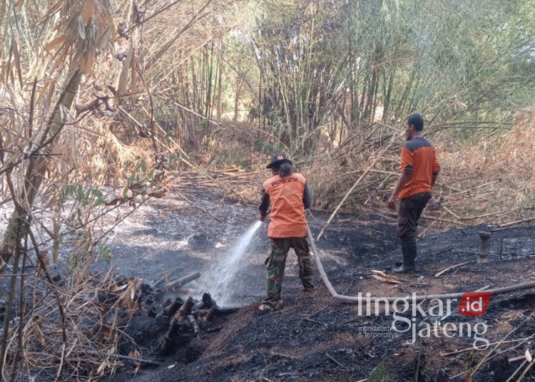 Petugas BPBD Kabupaten Kudus saat memadamkan api di sebuah lahan yang dilanda kebakaran, baru-baru ini. (Dok. Pribadi/Lingkarjateng.id)