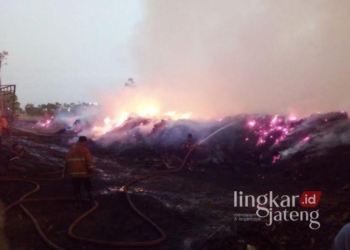 TERBAKAR: Kondisi kebakaran di penampungan limbah kayu sengon Desa Tulakan RT 01 RW 01 Kecamatan Donorojo, Kabupaten Jepara, Jumat, 20 September 2024. (Satpol PP Jepara/Lingkarjateng.id)